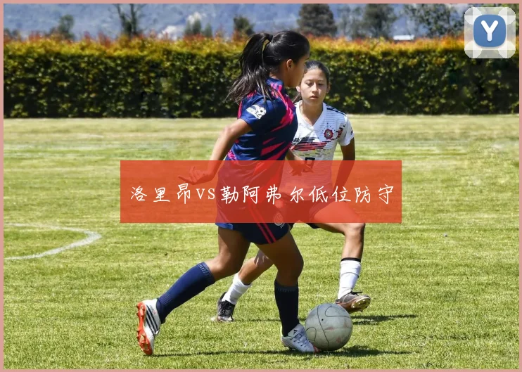 洛里昂vs勒阿弗尔低位防守